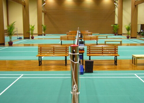 運(yùn)動(dòng)地板 運(yùn)動(dòng)地板