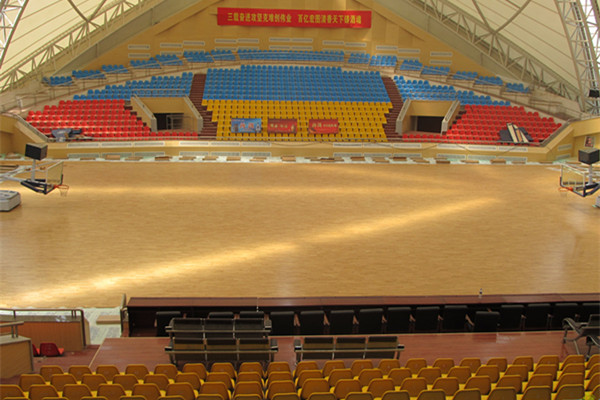 體育木地板 體育木地板