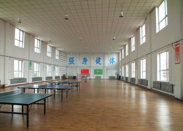 體育木地板 體育木地板