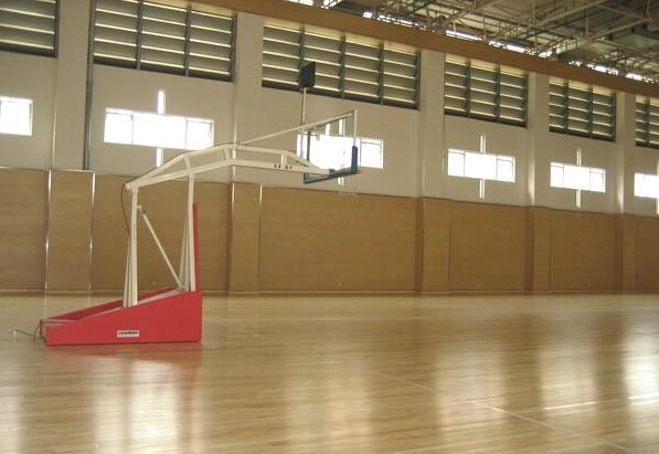 運(yùn)動(dòng)木地板 運(yùn)動(dòng)木地板