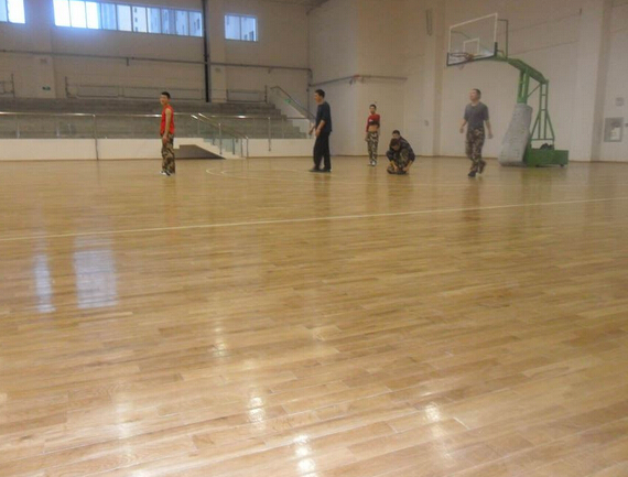 運(yùn)動(dòng)地板 運(yùn)動(dòng)地板