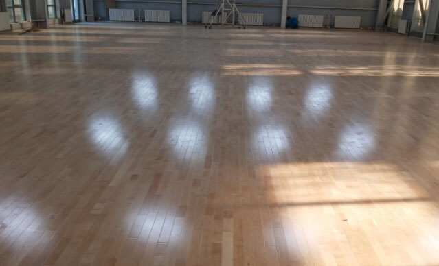 運(yùn)動(dòng)木地板 運(yùn)動(dòng)木地板