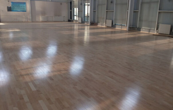 運(yùn)動(dòng)木地板 運(yùn)動(dòng)木地板