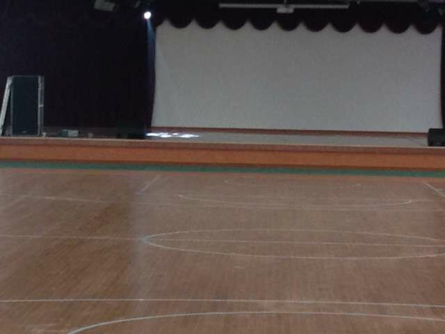 運(yùn)動木地板