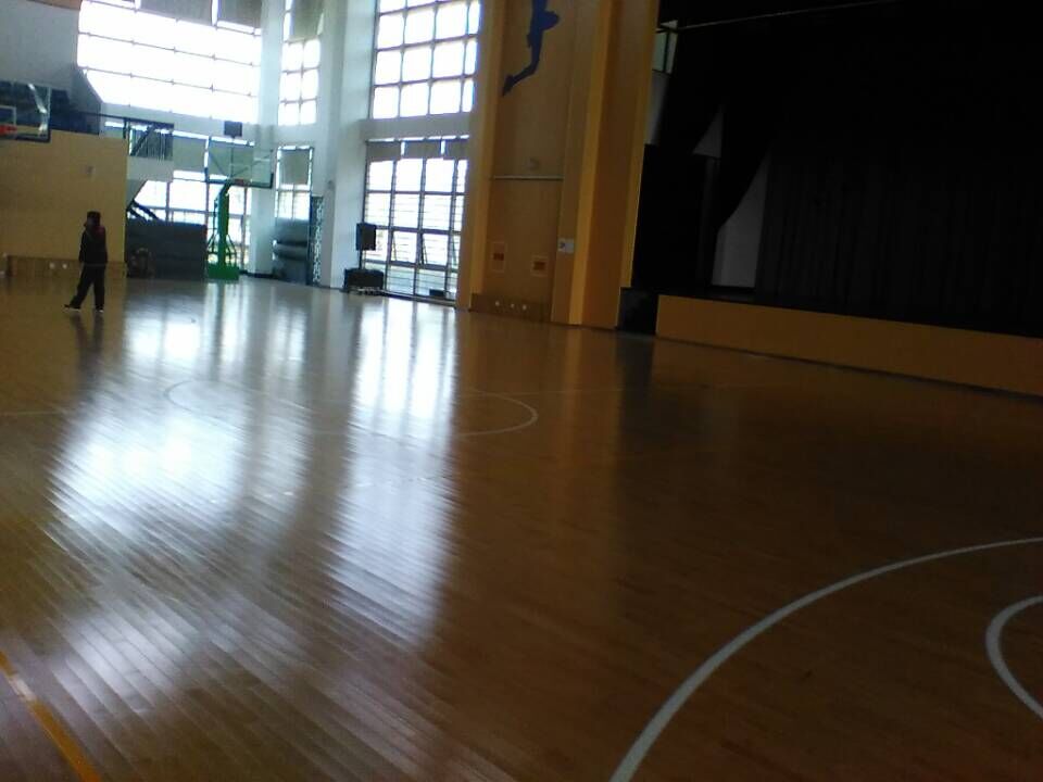 運(yùn)動(dòng)木地板 運(yùn)動(dòng)木地板