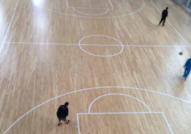 運動木地板 運動木地板