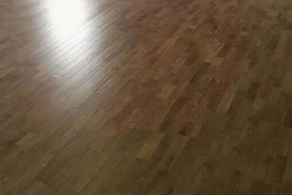 運動木地板 運動木地板