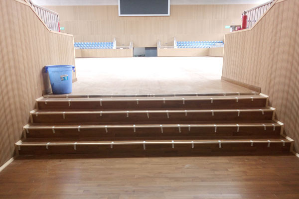 運(yùn)動(dòng)木地板