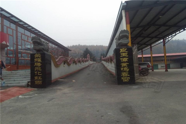 運(yùn)動(dòng)木地板 運(yùn)動(dòng)木地板