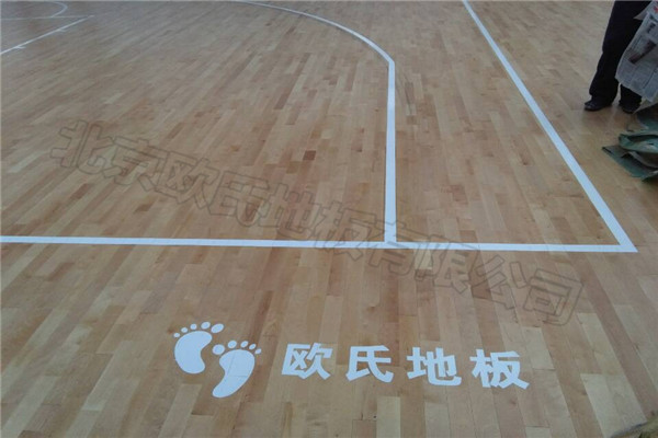 運(yùn)動(dòng)木地板 運(yùn)動(dòng)木地板