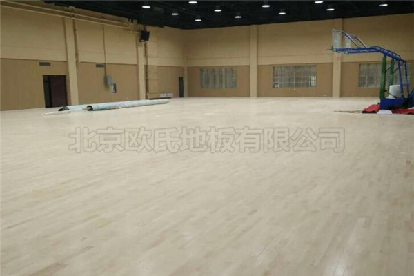 運動木地板 運動木地板