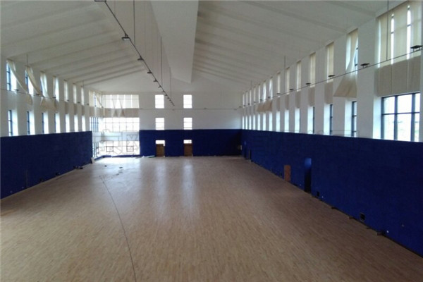 籃球木地板 籃球木地板